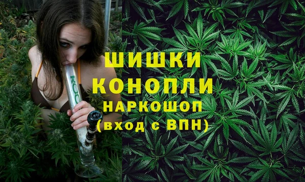 амф Богородск