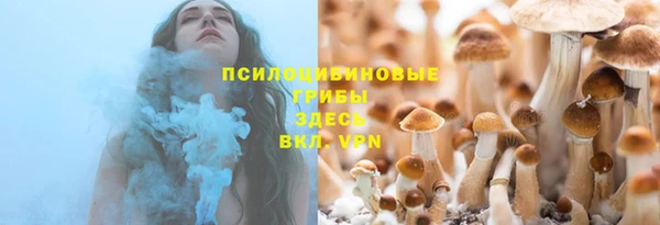 амфетамин Богданович