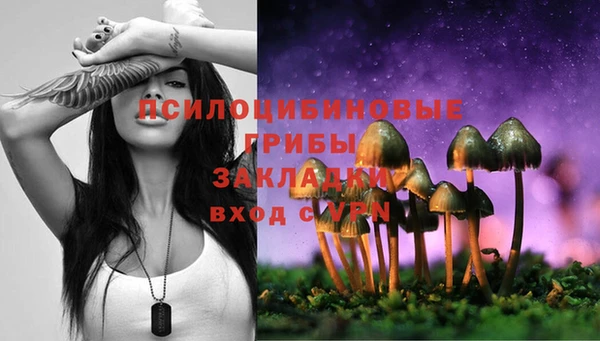 соль курить ск Богородицк