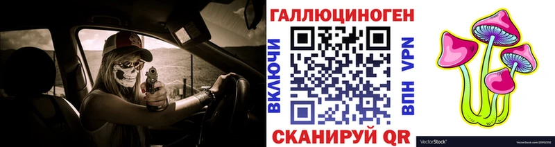 Галлюциногенные грибы прущие грибы  omg как зайти  Светлый  купить  